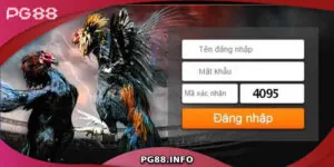 Hướng Dẫn Đăng Nhập PG88 Nhanh Chóng, An Toàn Cho Người Mới