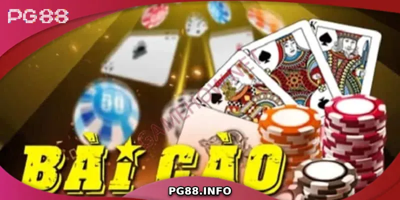 Tìm hiểu về bài cào